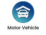 Motor-Vehicle_text