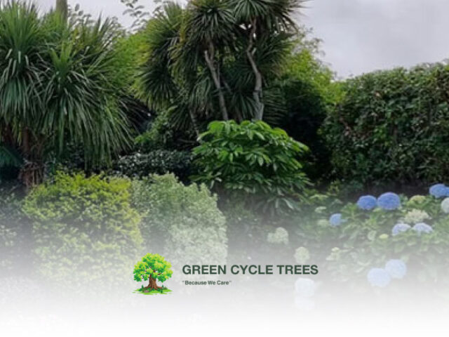 Green Cycle Trees
