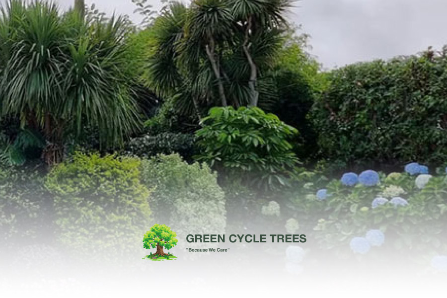 Green Cycle Trees